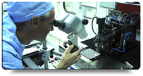 Clean room quality control stondato con ombra piccolo 